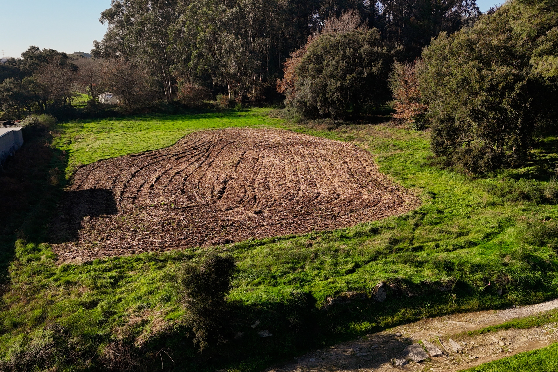 Terreno para construção em Galegos S. Martinho, Barcelos