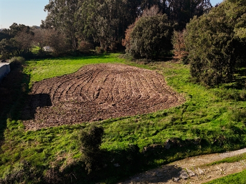 Terreno para construção em Galegos S. Martinho, Barcelos