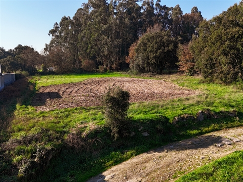 Terreno para construção em Galegos S. Martinho, Barcelos