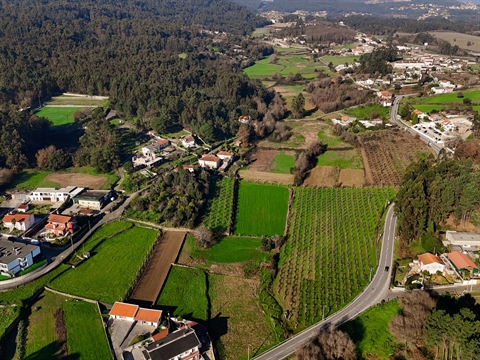 Terreno para construção em Galegos S. Martinho, Barcelos