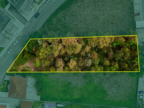Terreno com 1610m2 em Tamel São Verissimo