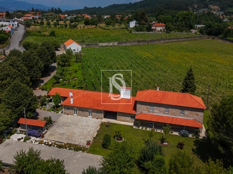 Quinta de Excelência no Coração do Minho com Produção Vinícola e de Castanha e com Várias Habitações