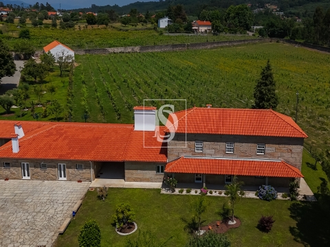 Quinta de Excelência no Coração do Minho com Produção Vinícola e de Castanha e com Várias Habitações