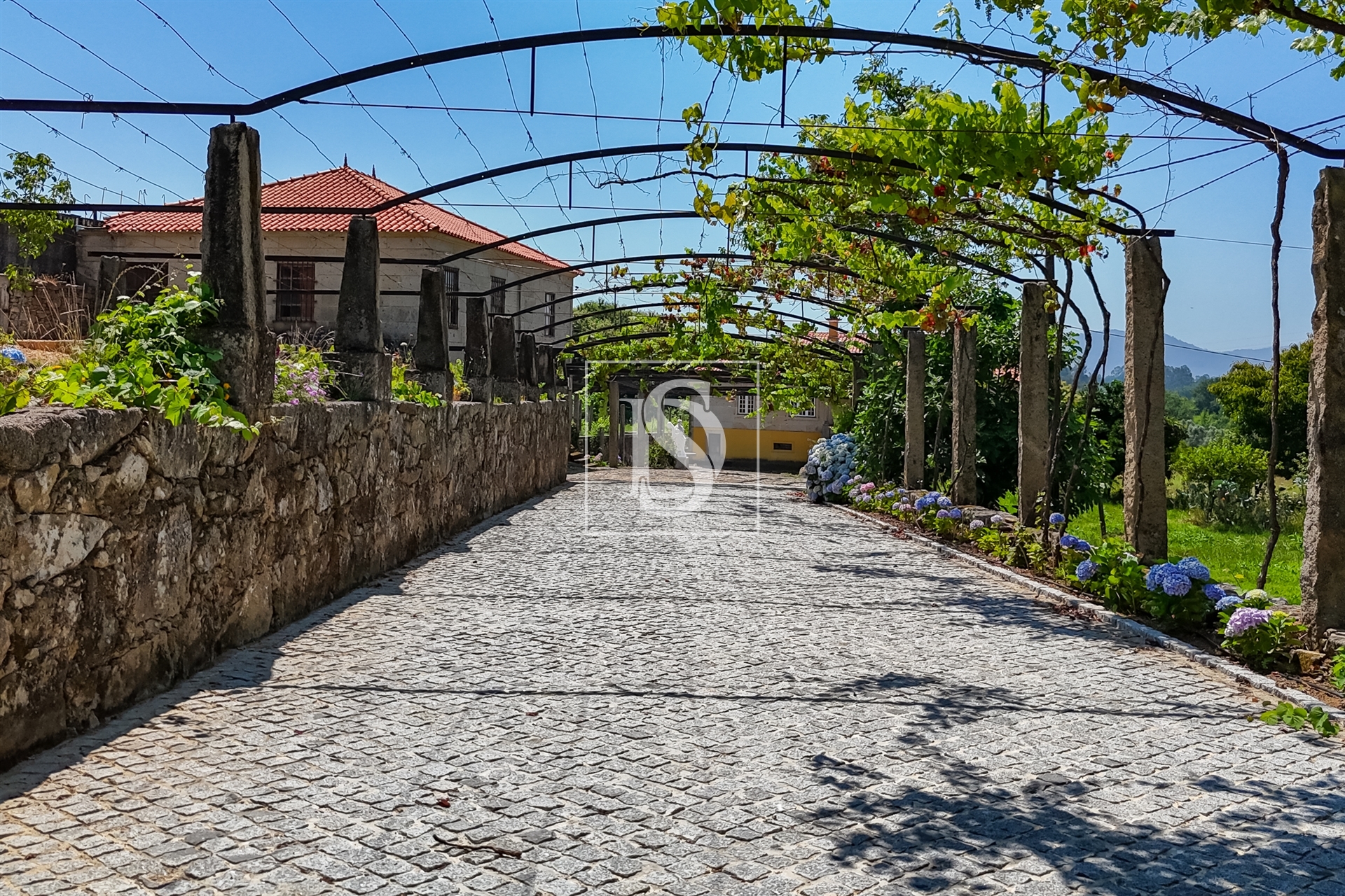 Quinta de Excelência no Coração do Minho com Produção Vinícola e de Castanha e com Várias Habitações