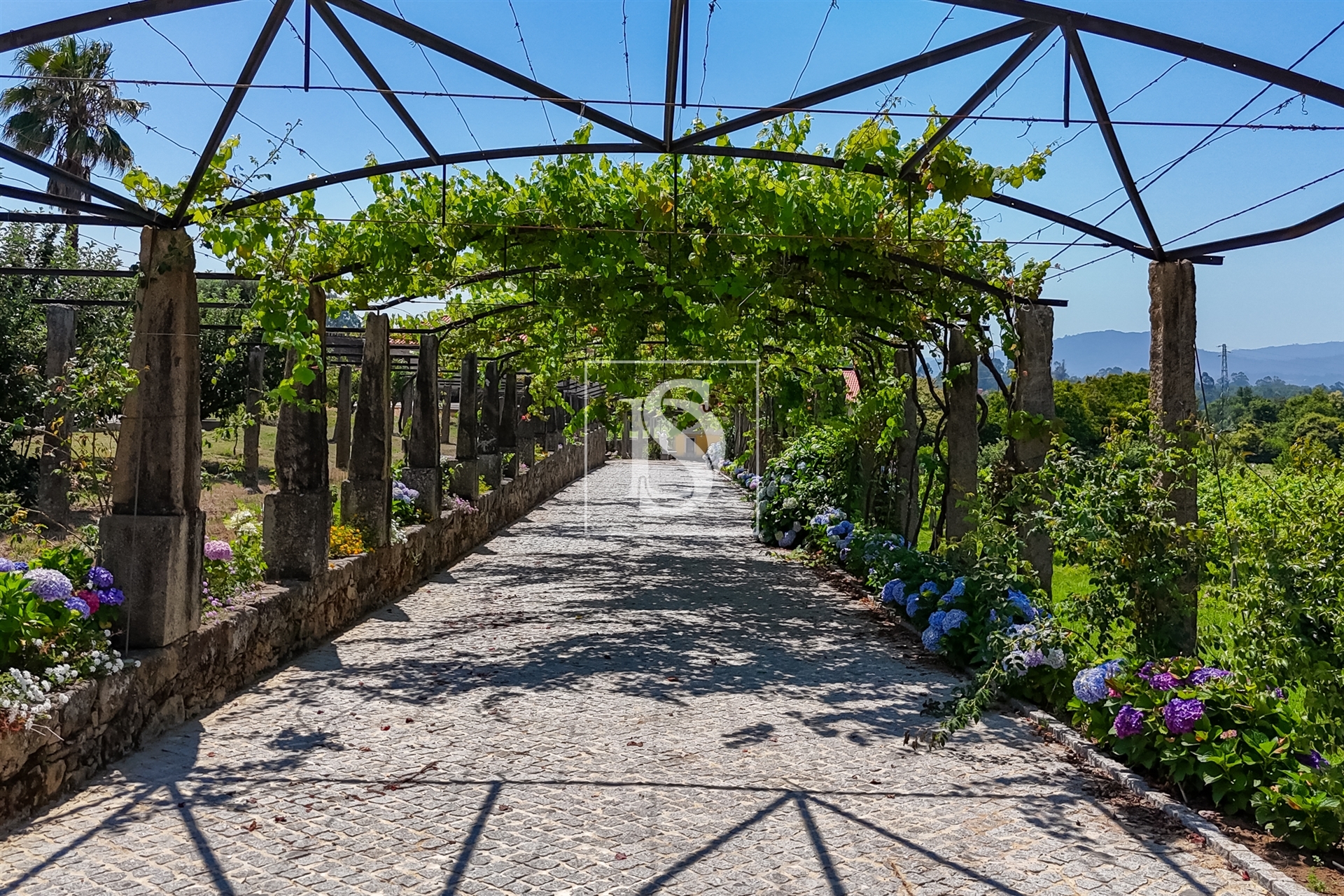 Quinta de Excelência no Coração do Minho com Produção Vinícola e de Castanha e com Várias Habitações