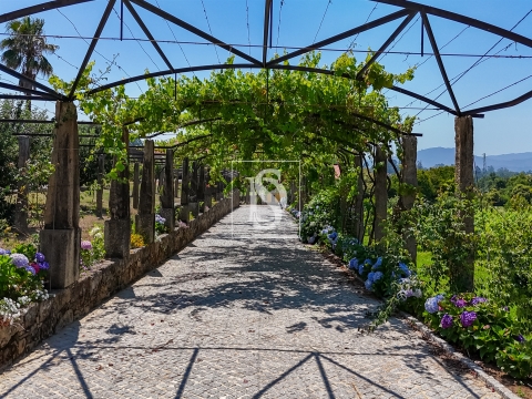 Quinta de Excelência no Coração do Minho com Produção Vinícola e de Castanha e com Várias Habitações